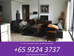 Montebleu (D11), Condominium #121883762